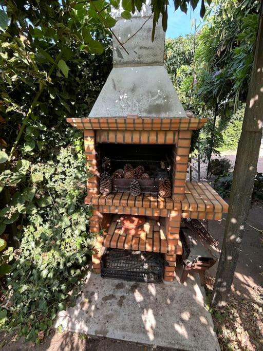 Willa A Tintureira São Martinho de Antas Zewnętrze zdjęcie